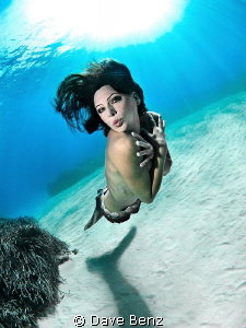 Oups...who say divers always most wear suits ??? by Dave Benz 